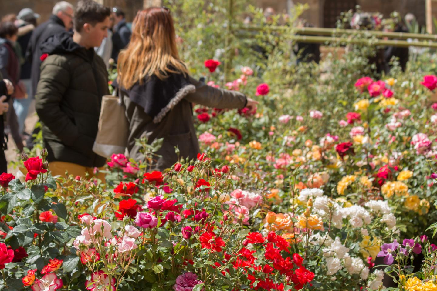 Cinco festivales de plantas para que tu jardín vuelva a florecer