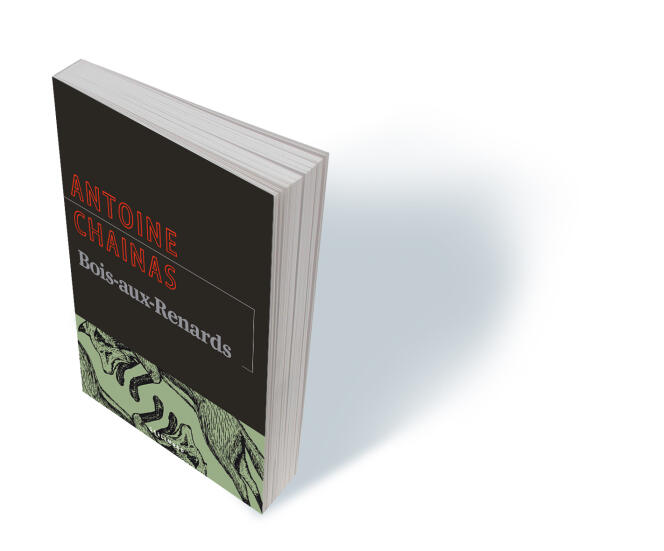 « Bois-aux-Renards », d’Antoine Chainas, Gallimard, « La Noire », 528 p., 21 €, numérique 15 €.