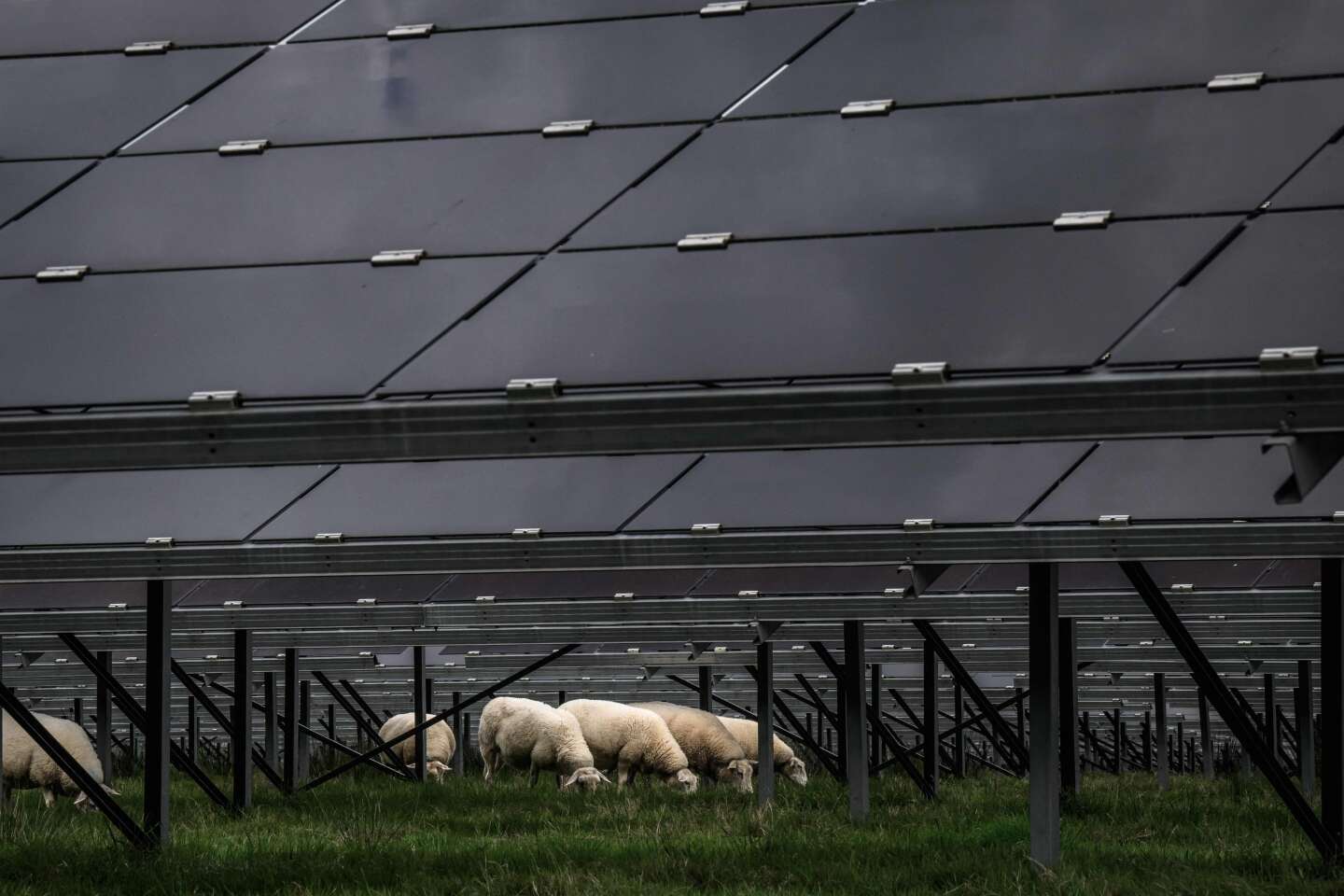 « La puissance publique doit assumer une forme de “colbertisme vert” pour développer l’énergie solaire »