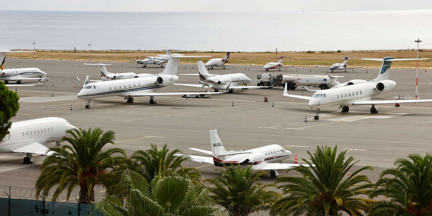 French Green MPs want to ban private jet flights, to 'bring the rich