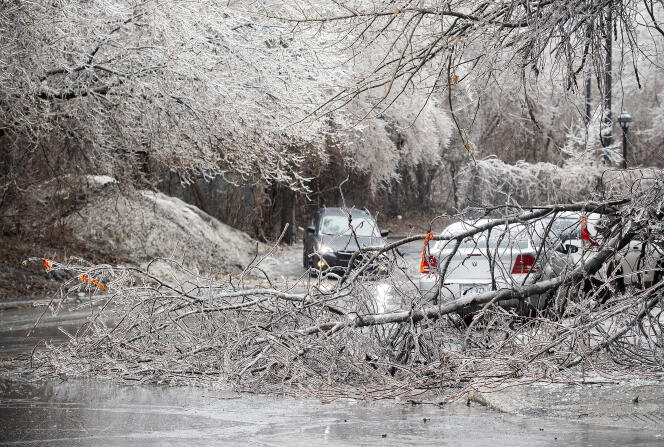 In total, 1.2 million homes were still without power Thursday morning, including 1.1 million in Quebec, due to fallen trees that gave way under the weight of the snow and damaged power lines.