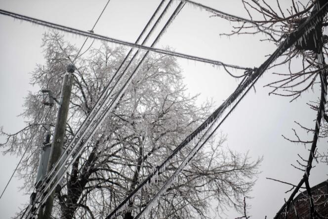 Ramas de árboles y líneas eléctricas congeladas, en Monkland, distrito de Montreal, 5 de abril de 2023.