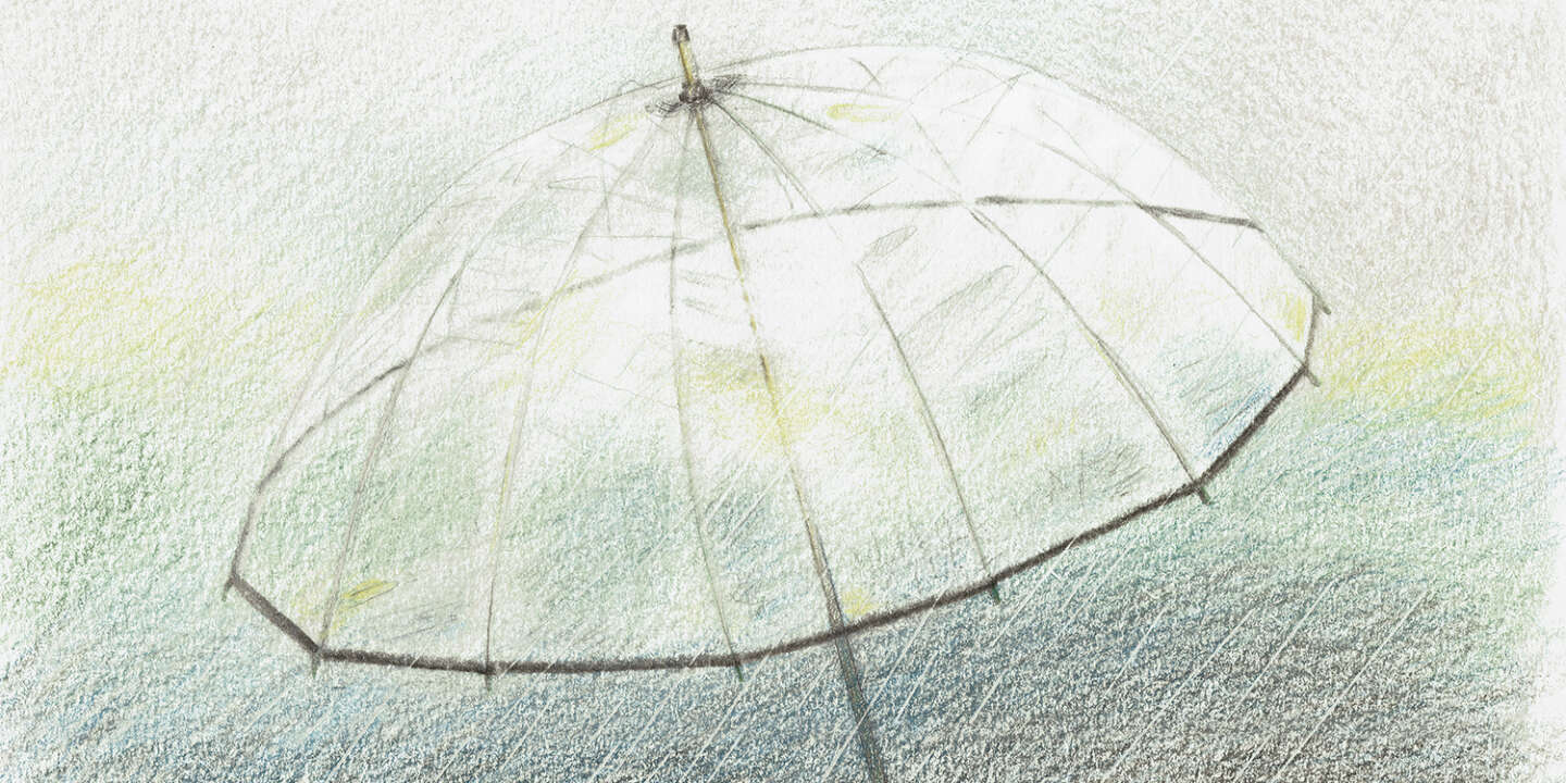 Aude Walker : une histoire de parapluie transparent