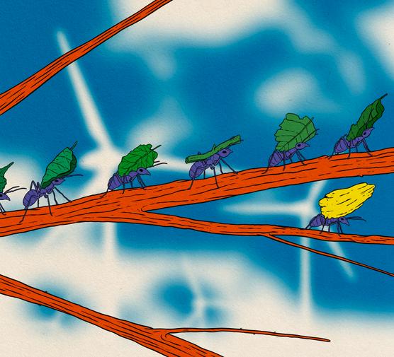 El dinero recaudado por las mutuas regionales se presta a particulares y profesionales (empresas, comunidades, autónomos) que están establecidos en la región.