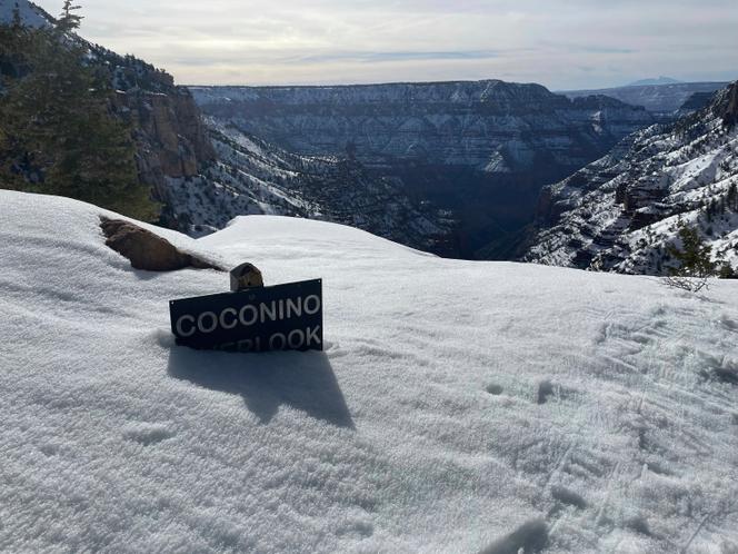Grand canyon rim store to rim winter