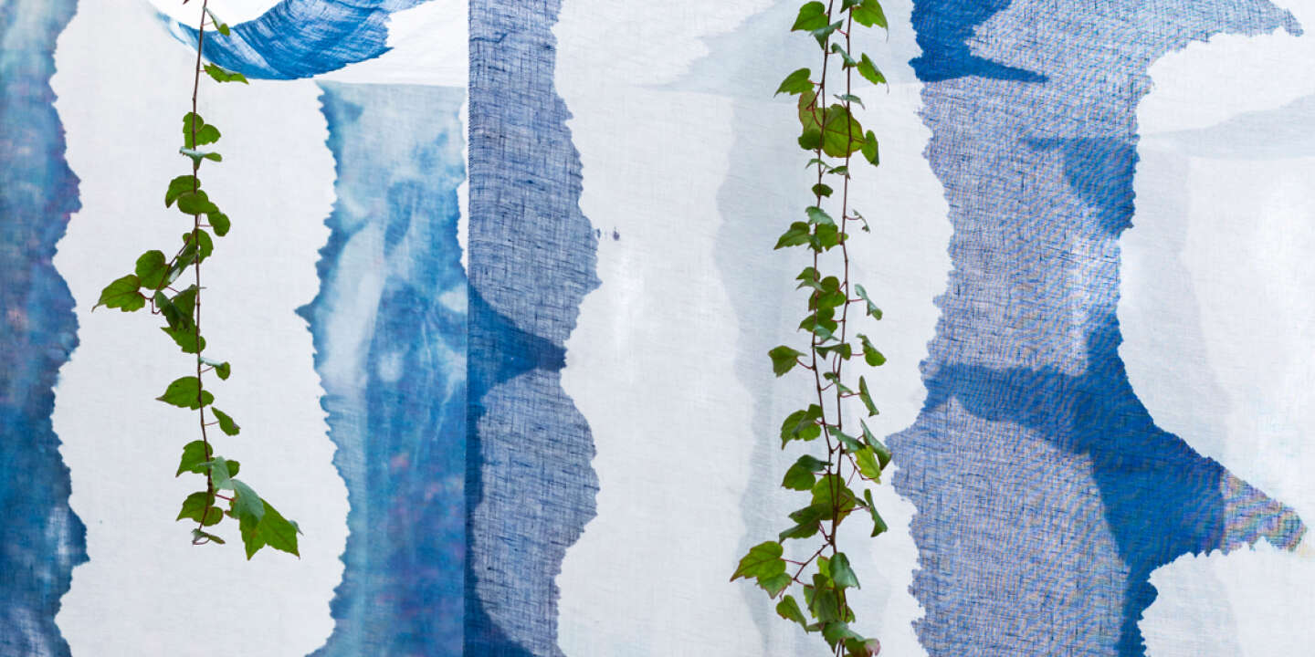 Atelier cyanotype : techniques et projets - Camille Soulayrol