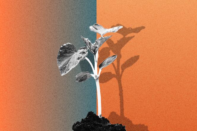 Depuis le 21 mai, l’utilisation de mots qui font référence à l’environnement pour nommer un fonds est encadrée par des règles strictes édictées par l’Autorité européenne des marchés financiers.