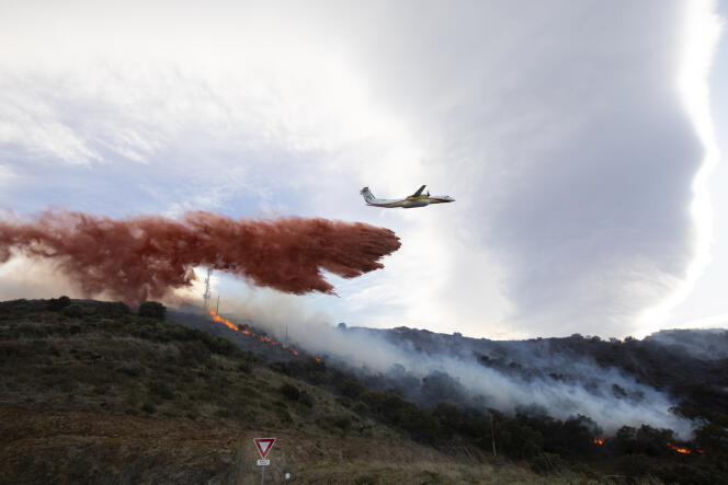 Les Pyrénées-Orientales placées en « risque très sévère » d'incendie
