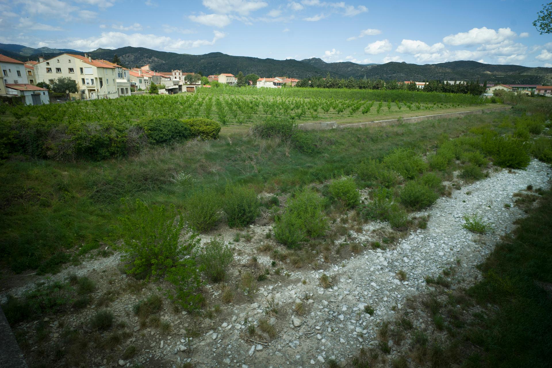 La rivière Boules à Bouleternère (Pyrénées-Orientales), un affluent de la Têt qui alimente plusieurs villages, est totalement à sec.