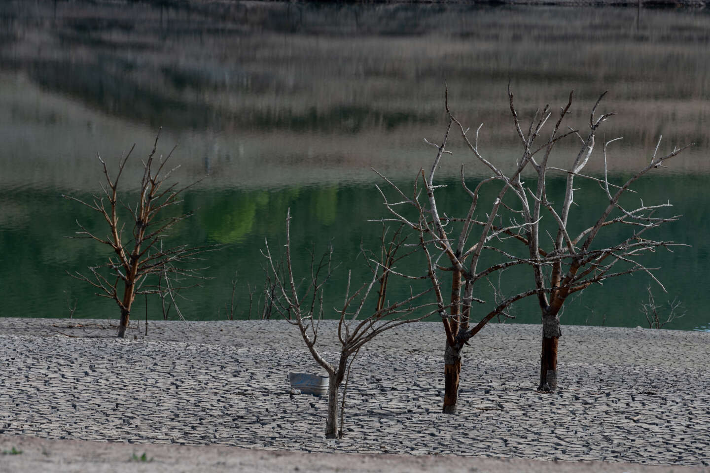 A Decade After Barcelona's Water Emergency, Drought Still Stalks