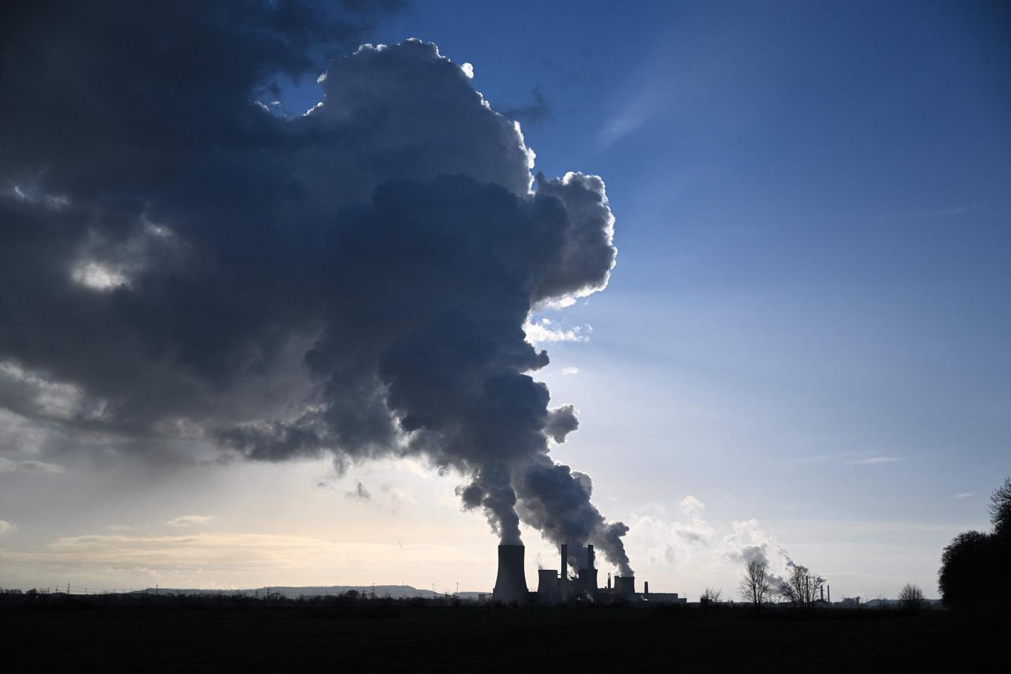 “La contabilidad de la empresa se olvida del carbono”