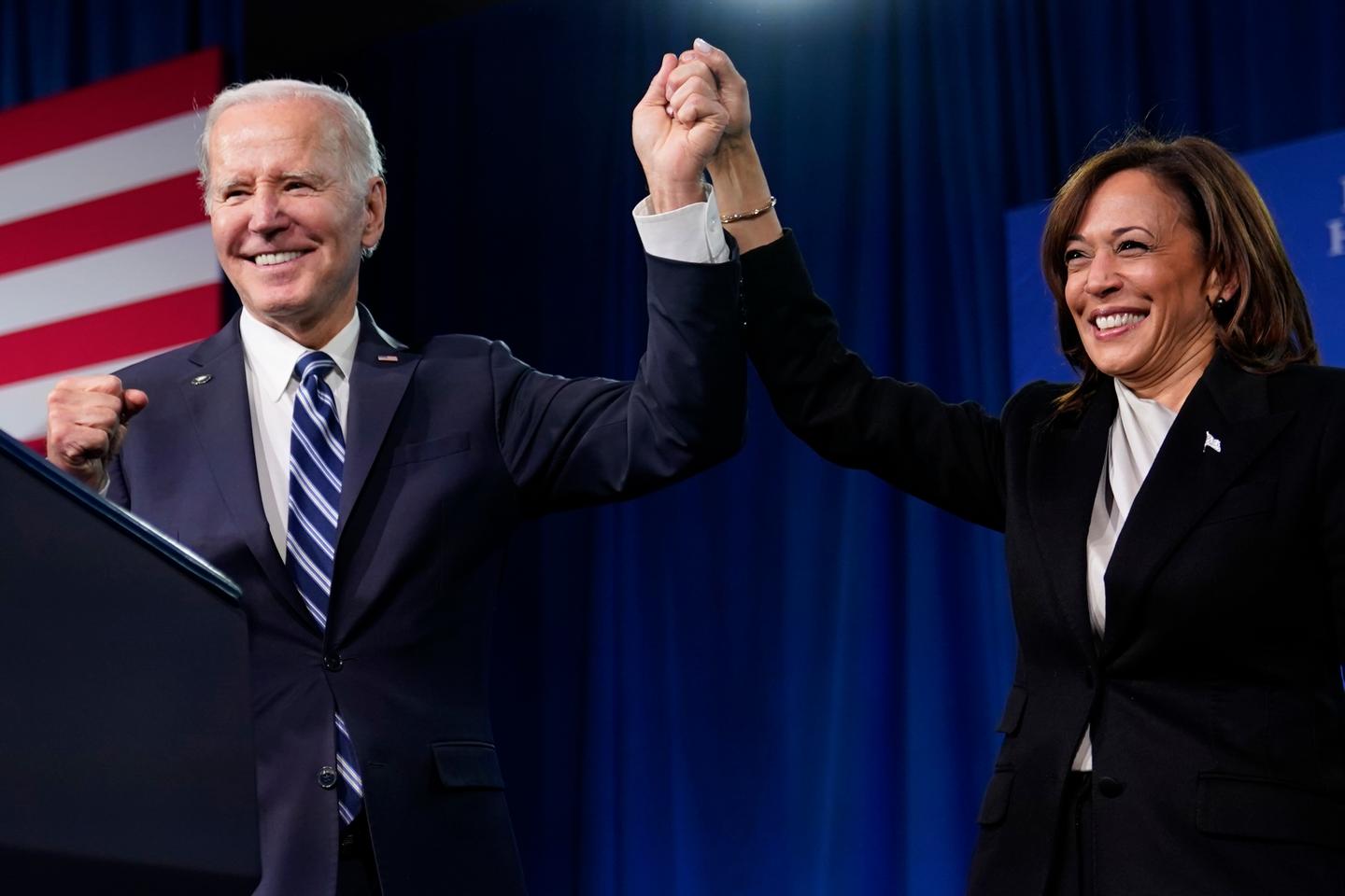 'It will be critical for Joe Biden that Kamala Harris succeeds in