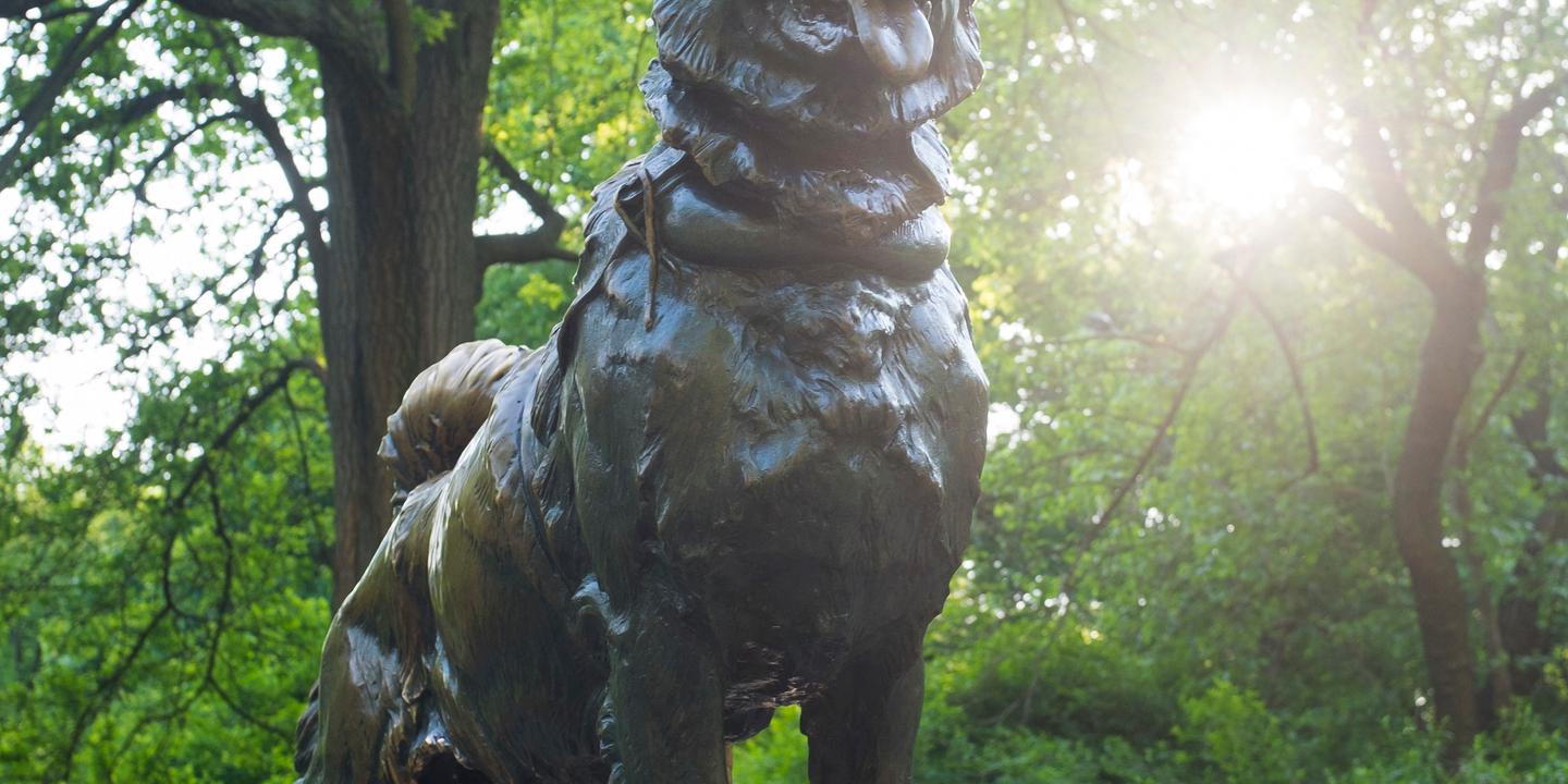 Woody balto best sale