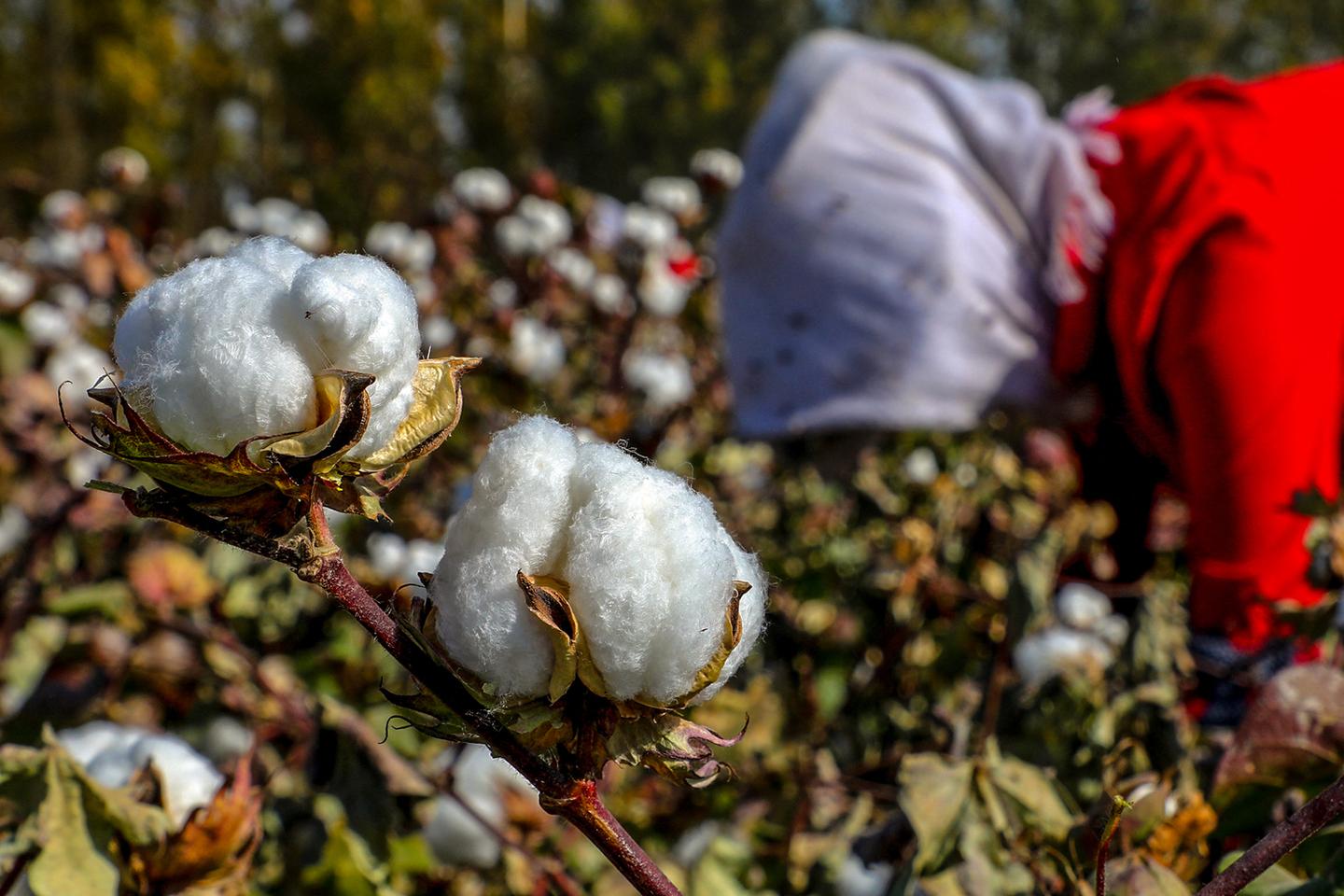 la denuncia presentada en Francia contra cuatro multinacionales del vestido clasificadas