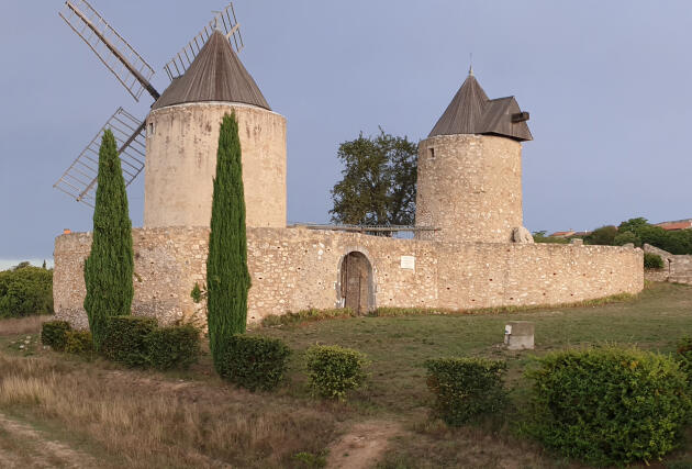 Moulin à vent en pays viticole, mais que reste-t-il de nos moulins à vent  en Médoc ? - Margaux Tourisme