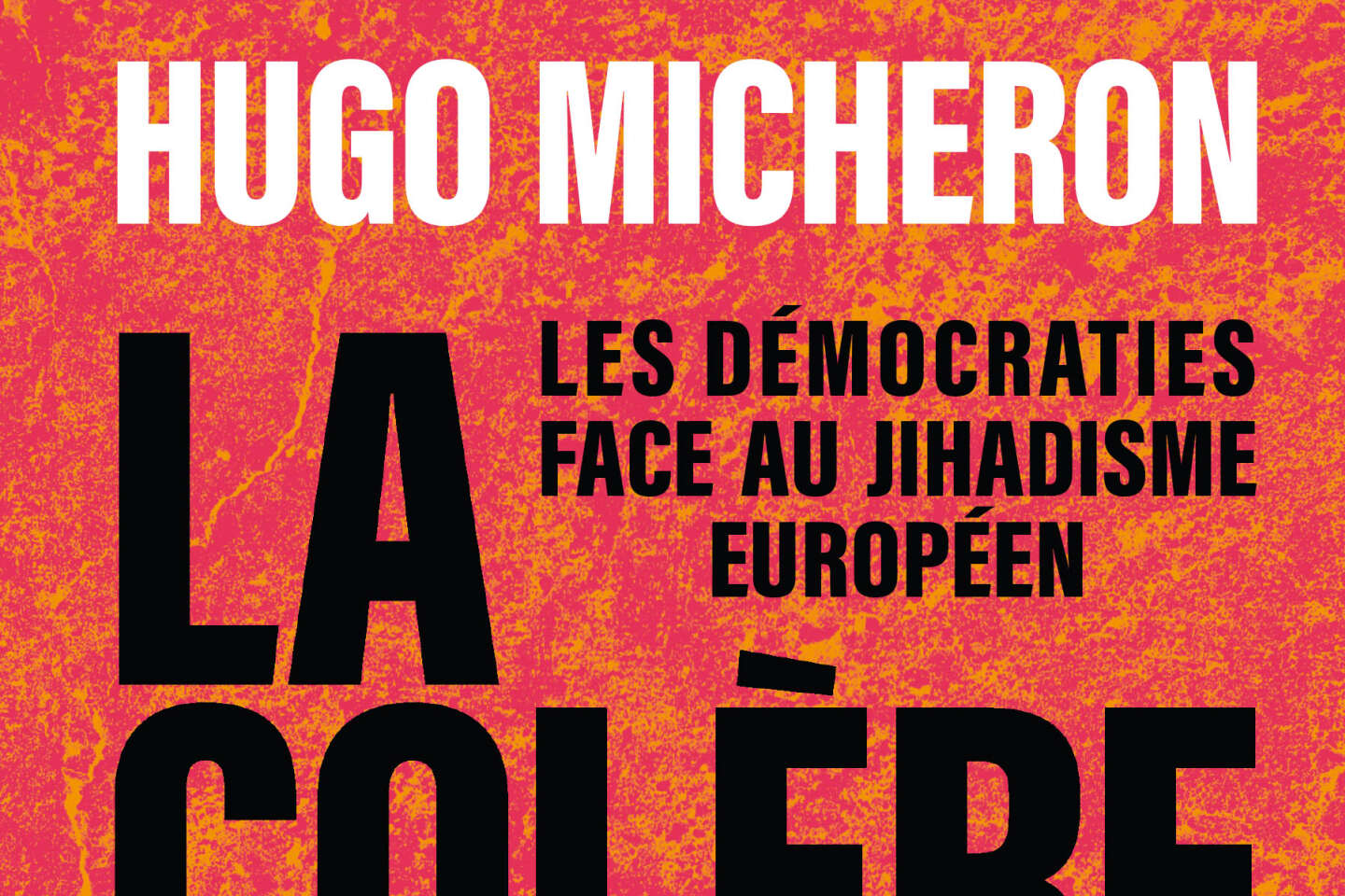 La colère et l'oubli by Hugo Micheron - Audiobook 