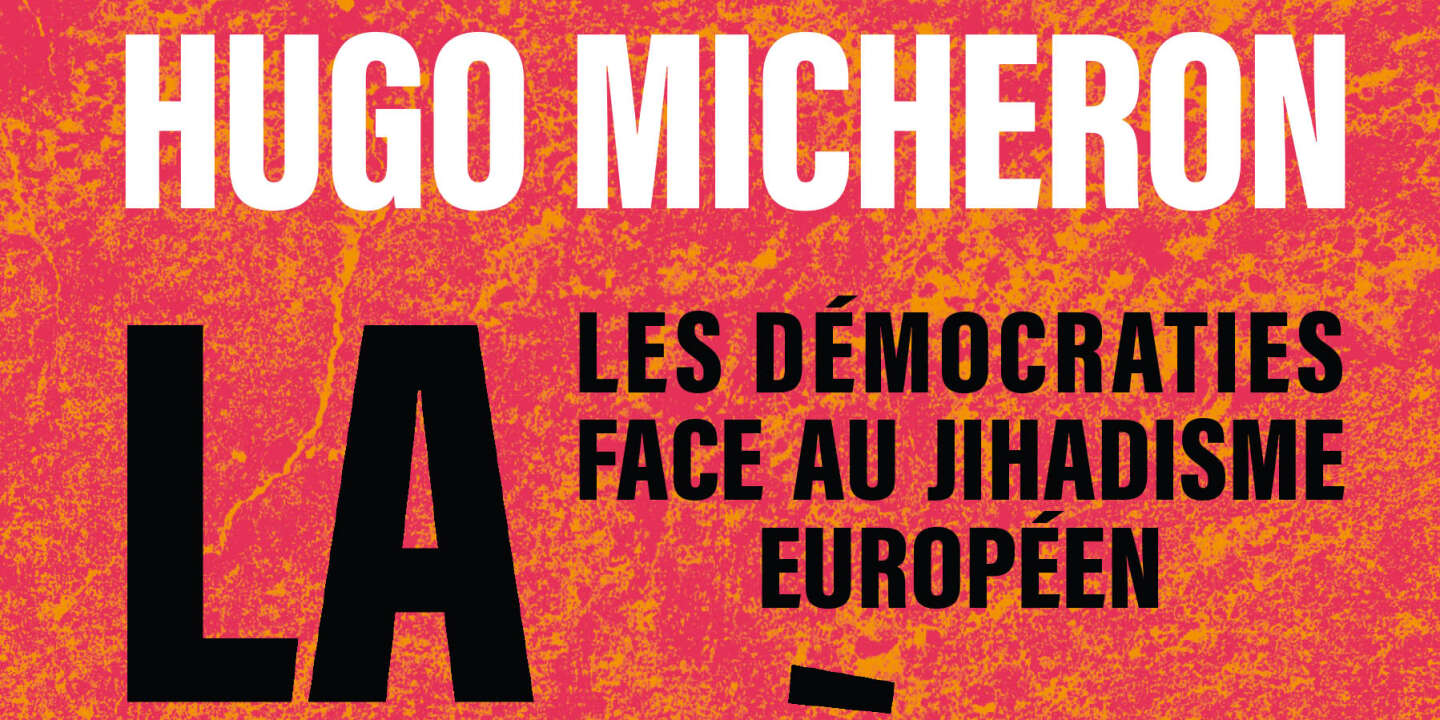 Hugo Micheron: «Le djihadisme ne se limite en rien aux attentats»