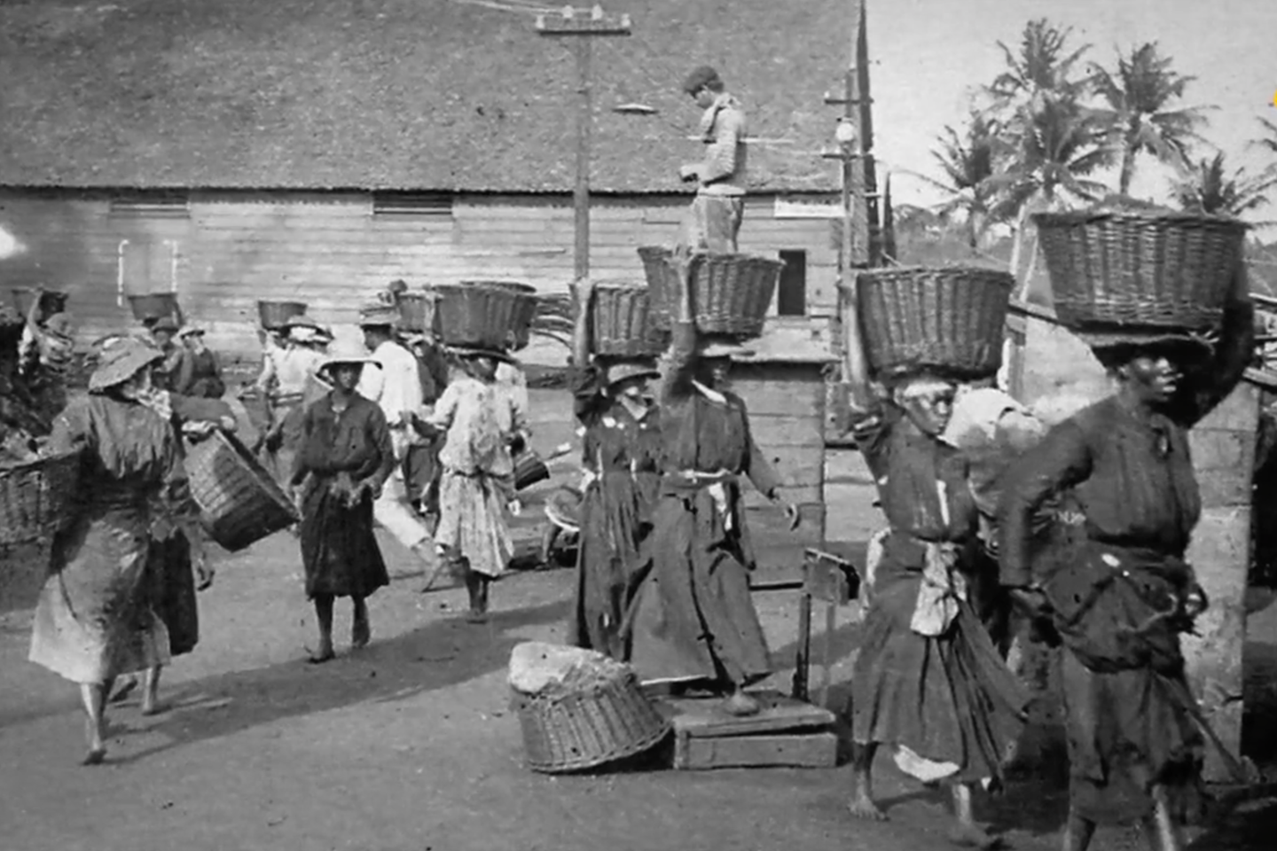 « La Voix des sansvoix », sur Martinique La 1ère et France.tv le