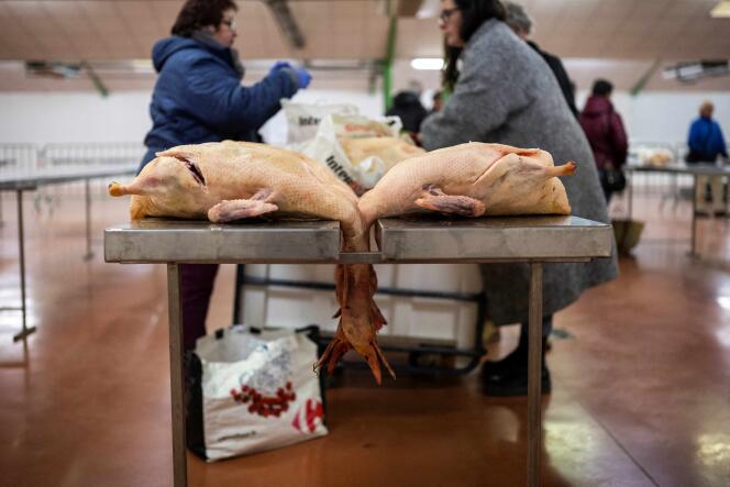 En un mercado de pato y foie gras en Samatan (Gers), en noviembre de 2022.