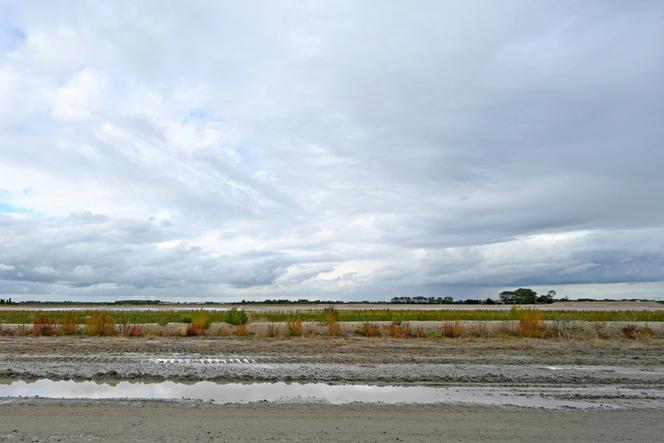 El sitio elegido por el industrial francés Verkor para la construcción de su primera gigafábrica, cerca del puerto de Dunkerque (Norte), el 27 de septiembre de 2022. 