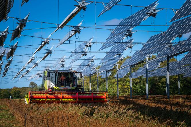 Cosecha de soja bajo paneles solares suspendidos en un sitio agrovoltaico, en Amance (Haute-Saône), 12 de octubre de 2022. 