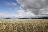 L’état de la sécheresse en France : une amélioration dans la moitié nord, le Sud-Est continue de s’assécher