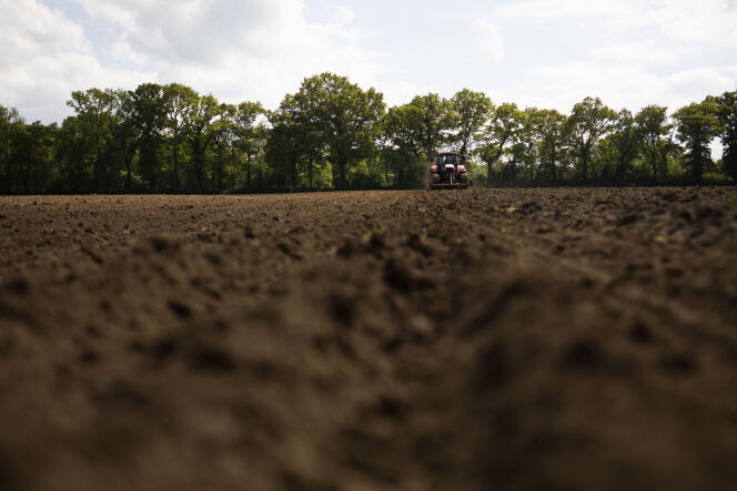 Un agriculteur prépare la terre de sa parcelle avant des semis, dans le Calvados, en février 2022.