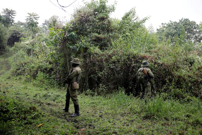 Ecoguardias en el Parque Nacional Virunga en agosto de 2019.