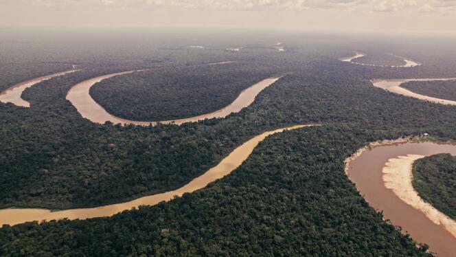 Aerial view of the Javari valley, in the Brazilian Amazon.