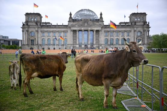 Frente al Reichstag, en Berlín, durante una campaña de Greenpeace para una ganadería lechera más respetuosa con los animales, el 16 de mayo de 2023.