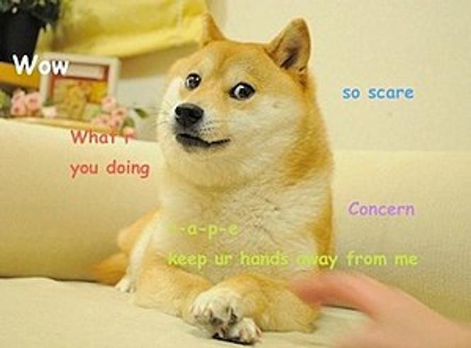 Les expressions accompagnant le mème « doge » sont censées refléter un monologue intérieur idiot et laconique.