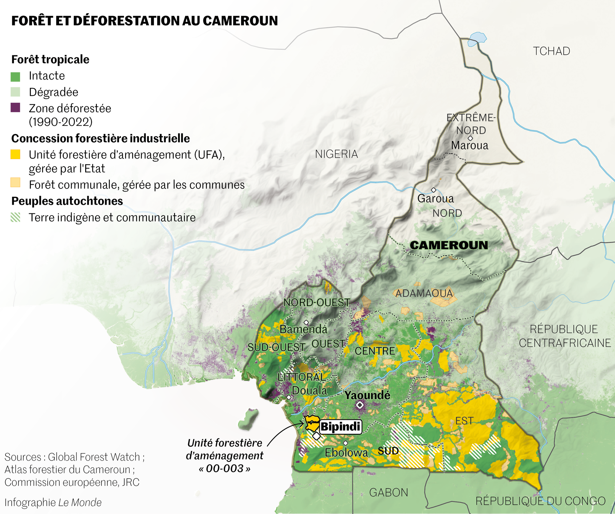 Cameroun : comment l’exploitation forestière échappe au contrôle de l’Etat