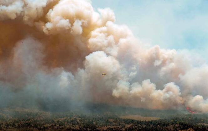 Uno de ocho aviones en New Brunswick, la provincia vecina, arroja una mezcla de agua y retardante de llama, sobre un incendio, cerca del lago Barrington (Nueva Escocia, Canadá), el 31 de mayo de 2023.