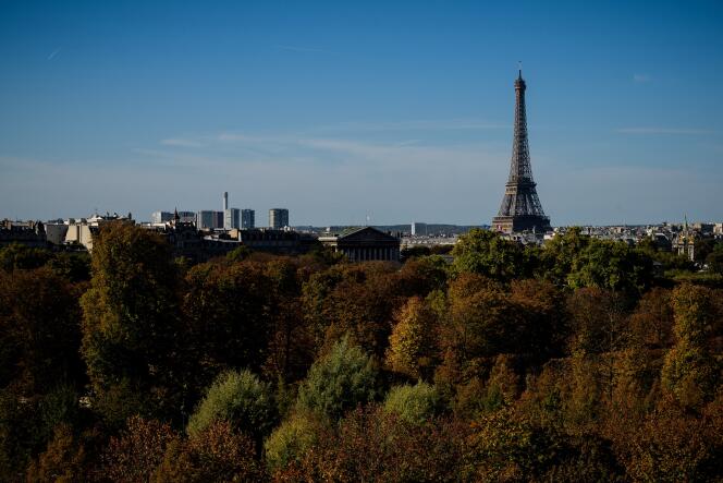Los árboles del Jardin des Tuileries, en París, en octubre de 2018.