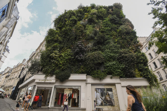 Devant un mur végétalisé rue d’Aboukir, à Paris, le 13 juillet 2019.