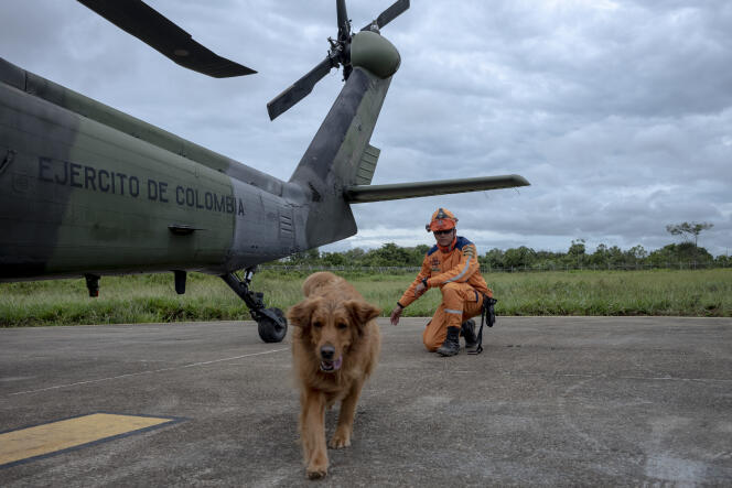 Sebastian Sora, volontaire de la défense Civile, et sa chienne Akhela partent renforcer l'équipe de recherche dans la jungle colombienne. Le 2 juin 2023, à San José del Guaviare, département du Guaviare, Colombie. 
