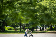 Une mère promène son enfant dans un parc de Tokyo, au Japon, le 11 mai 2023. 