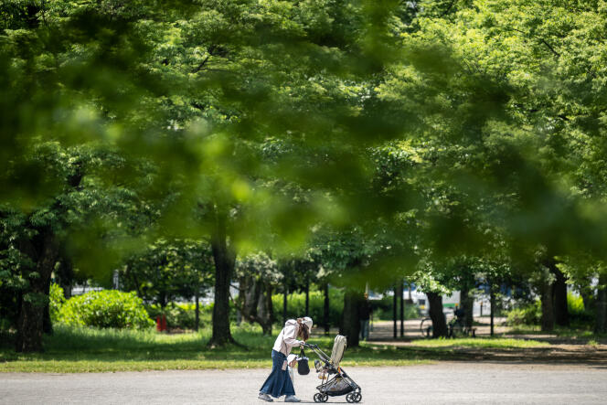 On May 11, 2023, a mother takes her son for a walk in a park in Tokyo, Japan. 