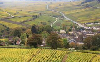 Aerial and vineyards surrounding Pernand-Vergelesses, outside of Beaune, Burgundy, France