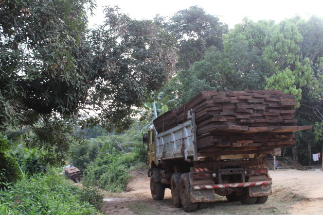 Illegal timber transport, in December 2022, in the southern region of Cameroon.