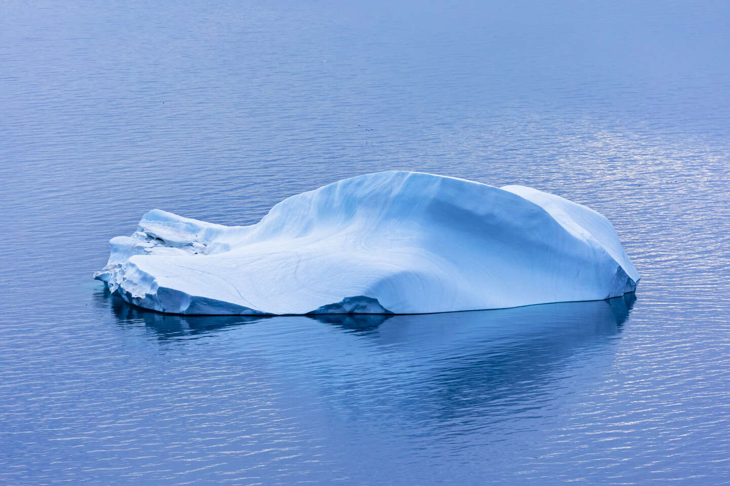 Het noordpoolgebied kan in de zomer van de vroege jaren 2000 verstoken zijn van zee-ijs