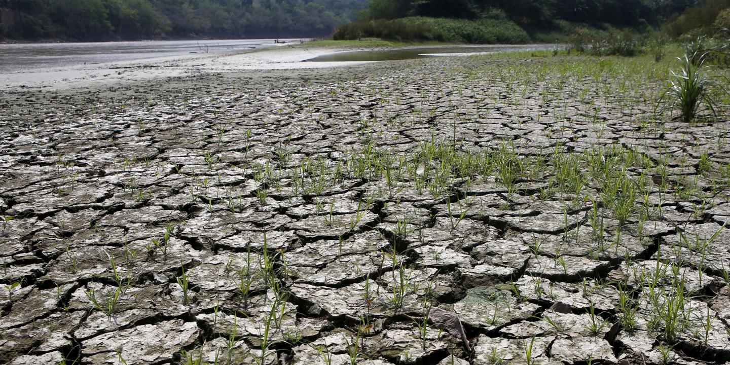 Climate: El Niño set to be 'at least' of moderate strength, says UN