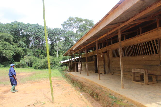 Le collège de Nkollo, dans le sud du Cameroun, dont un bâtiment a été construit par les villageois.