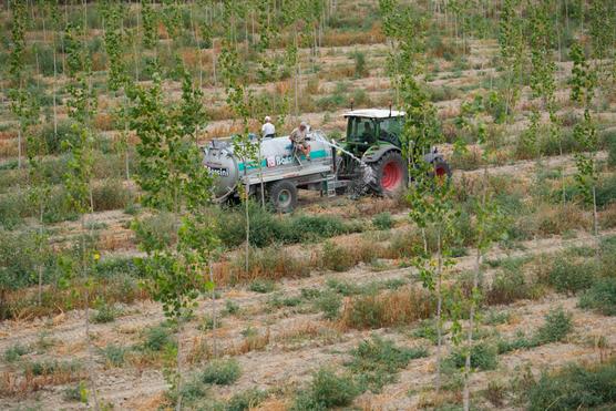 Los agricultores riegan árboles con un camión cisterna cerca del lecho del río Po, en Ficarolo, Italia, el 28 de julio de 2022.