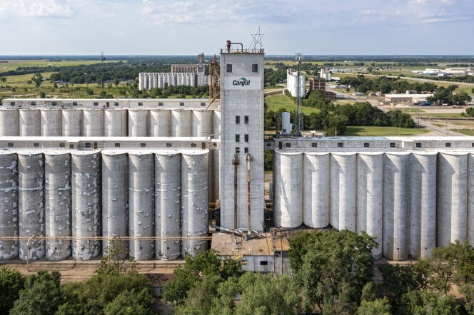 Elevadores de granos, Hutchinson, Kansas.