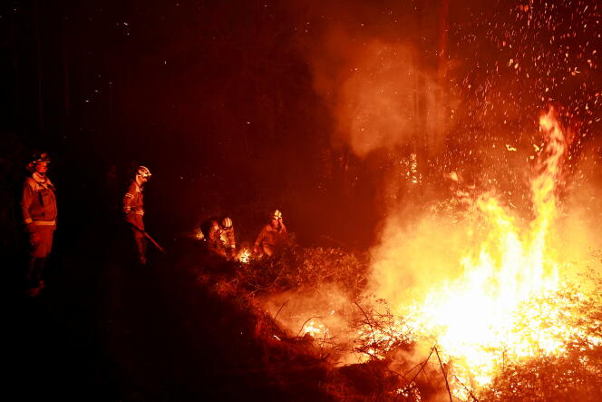Firefighters tackle a wildfire in Piedravita, Asturias, March 31, 2023.