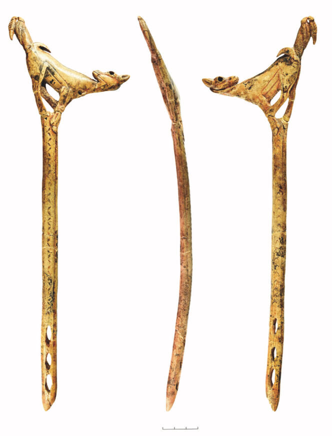 The spear-thrower from the Mas d'Azil cave, Ariège.