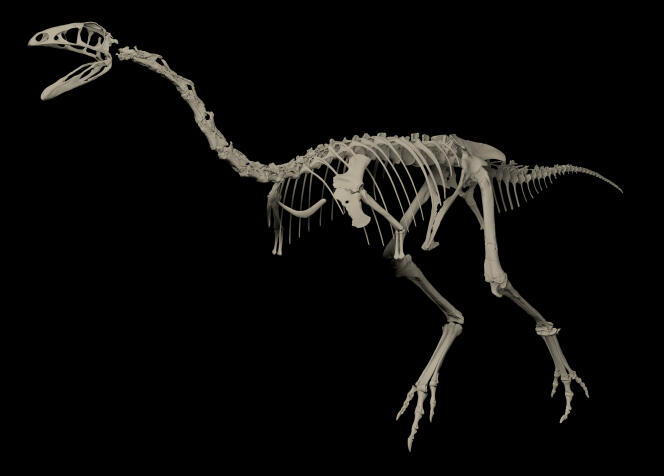 Reconstrucción 3D del ornitomimosaurio de Angeac-Charente.