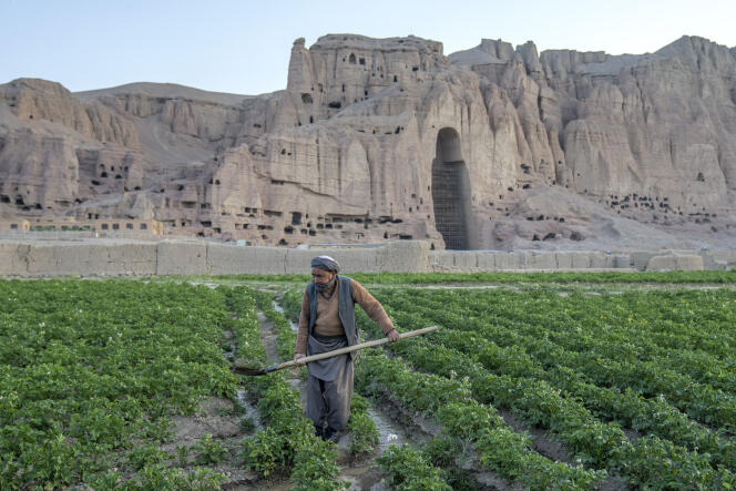A farmer works in his field not far from the empty niche of the Great Buddha, a monumental statue destroyed with explosives by the Taliban in March 2001. Bamiyan, Afghanistan, June 18, 2023.