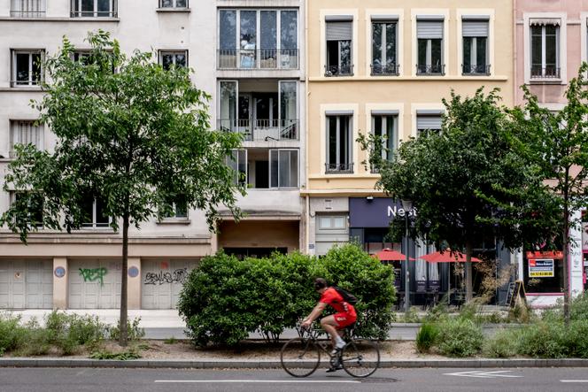 Végétation rue Garibaldi, à Lyon, le 9 juin 2023.